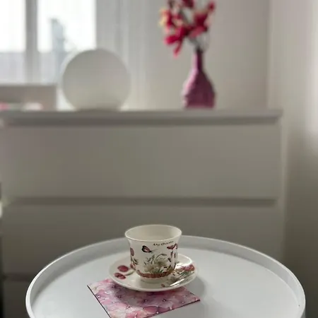 Daire Keyif Katoviçe